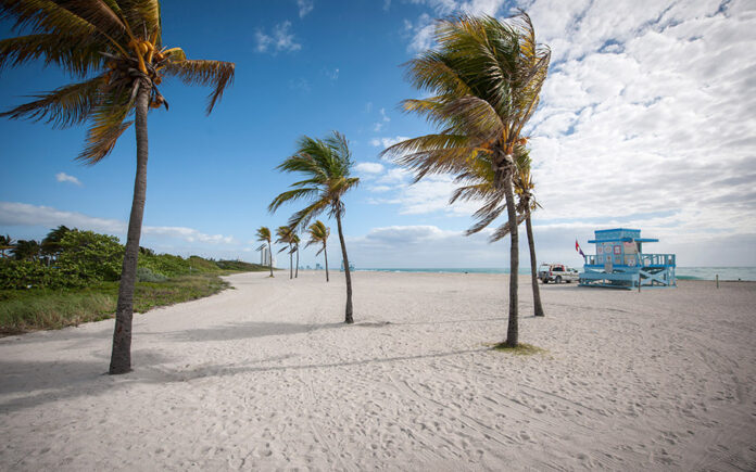 Plaża Haulover W Miami Uznana Za Najlepszą Plażę Dla Nudystów Na