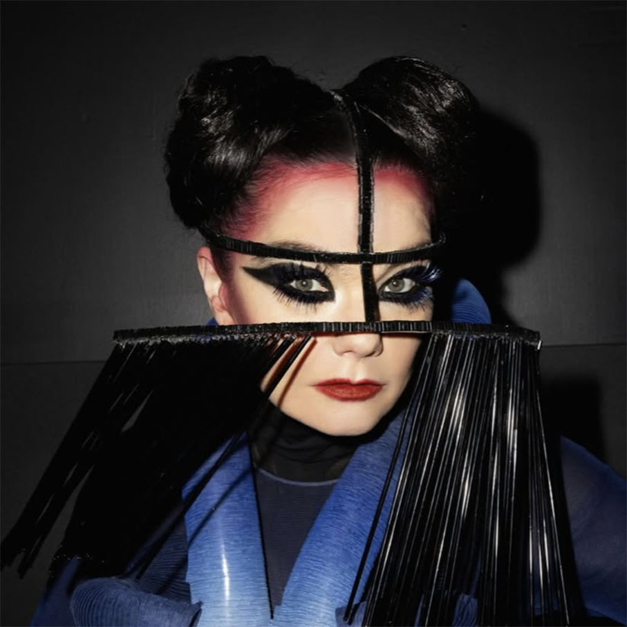 Björk zaskoczyła Bielsko
